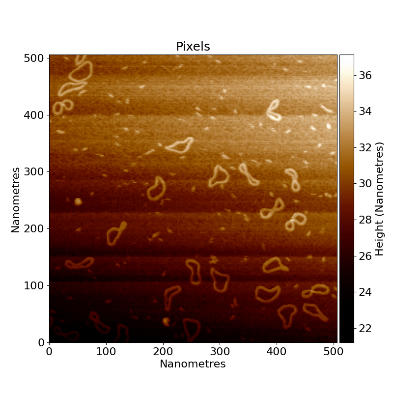 raw AFM image