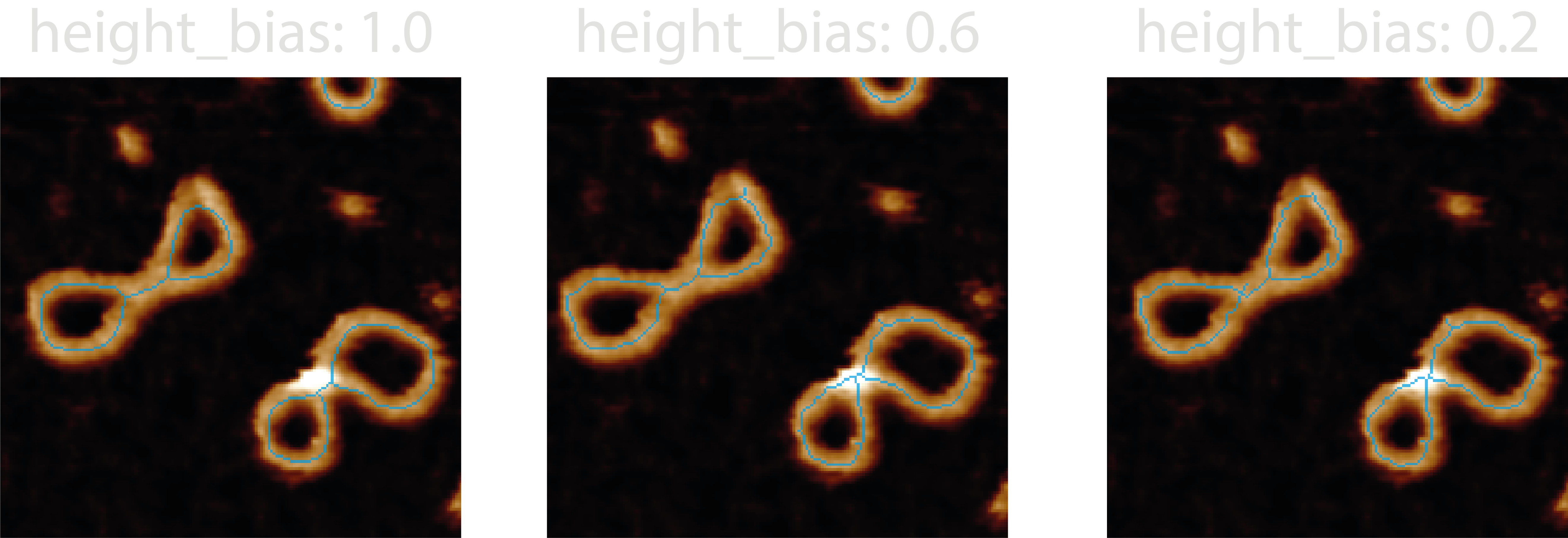 Different skeletonisation height bias examples