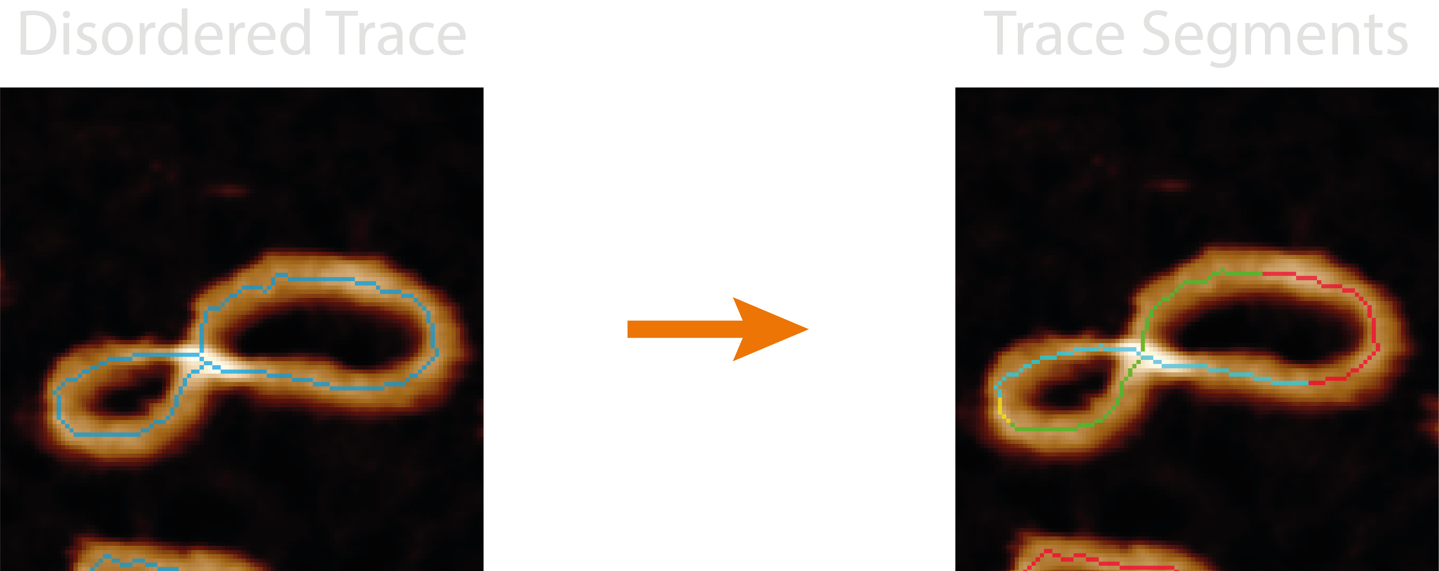 Disordered trace segment image