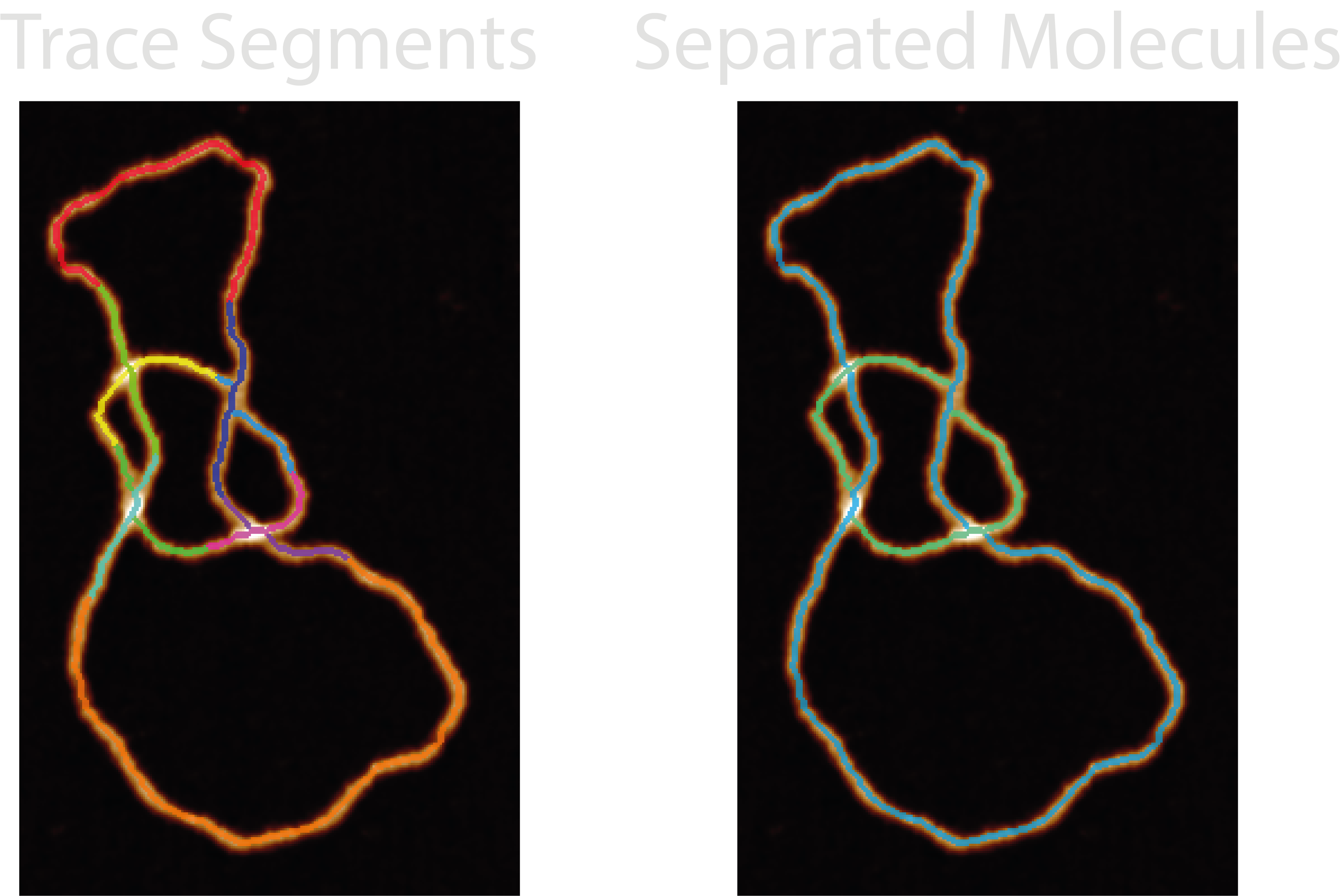 Two molecule trace