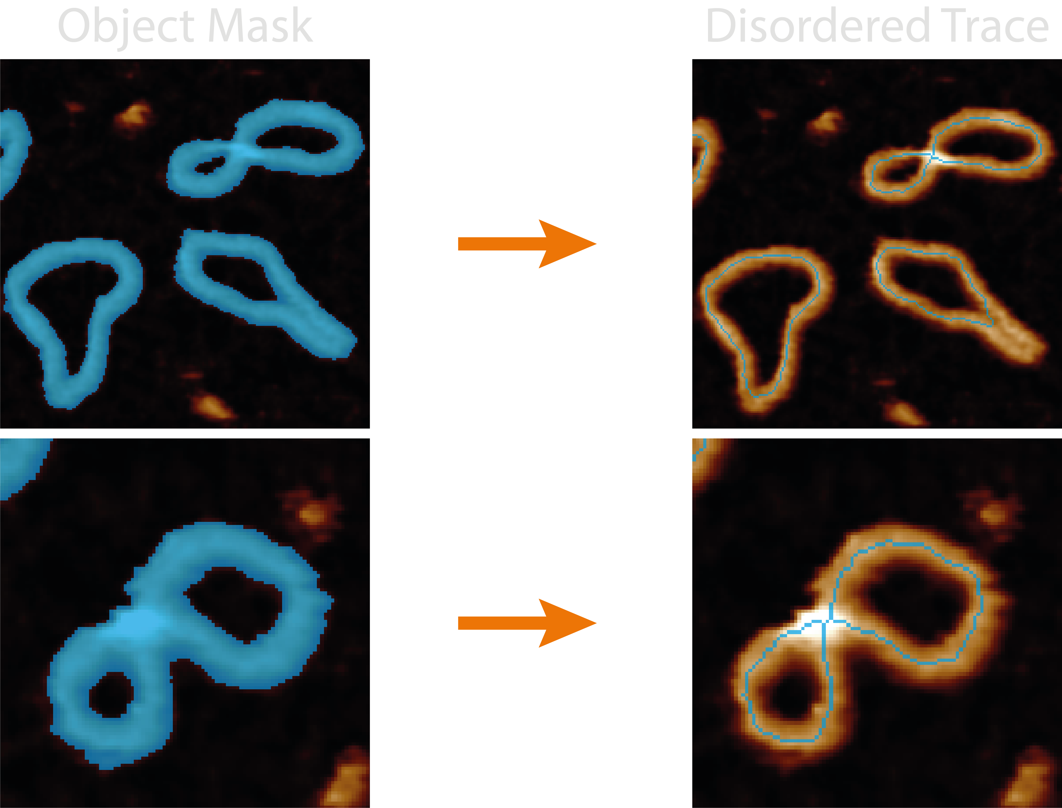 object mask to pruned skeleton