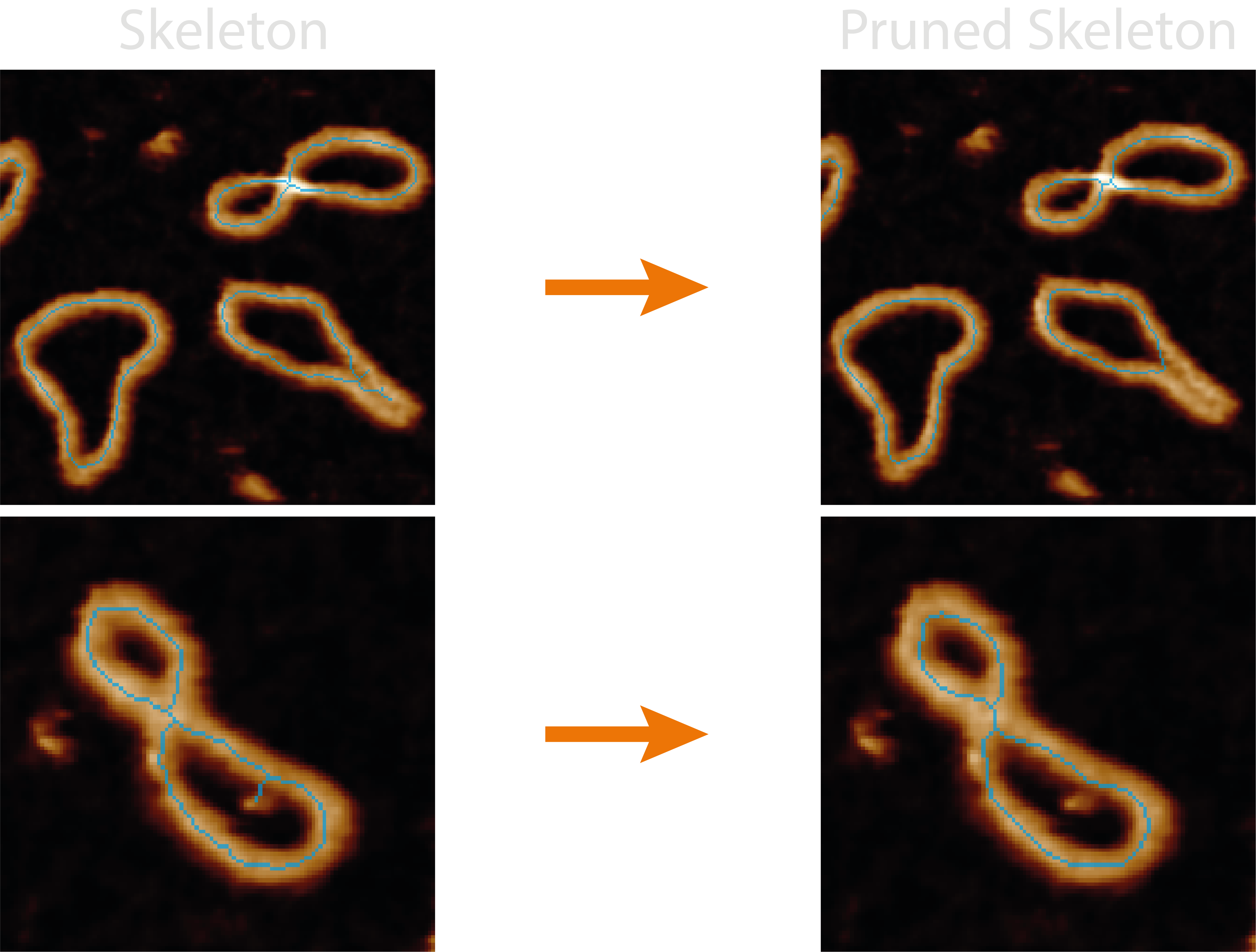 Pre and post pruning of skeletons