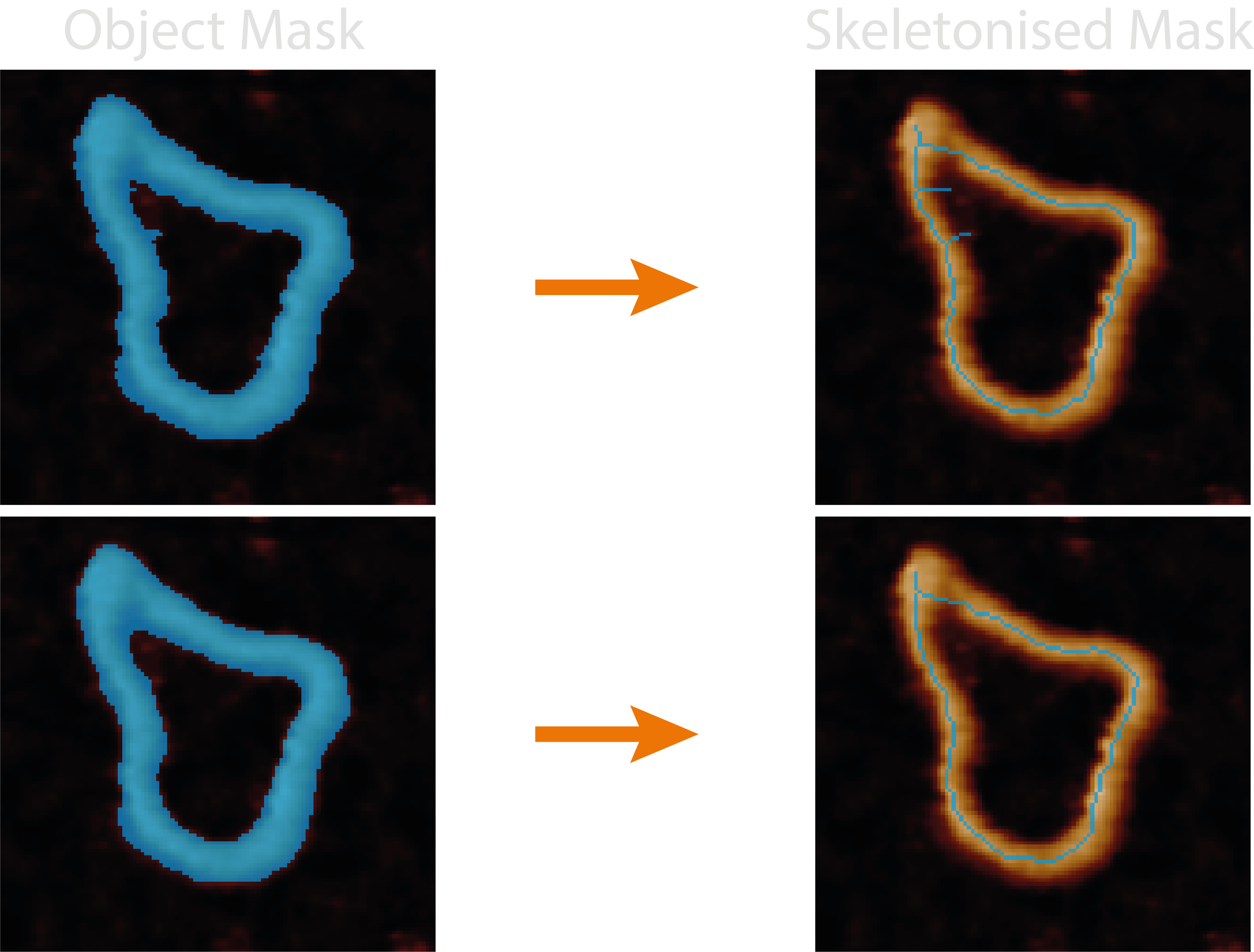 Image of smoothed vs un-smoothed skeletonisation result