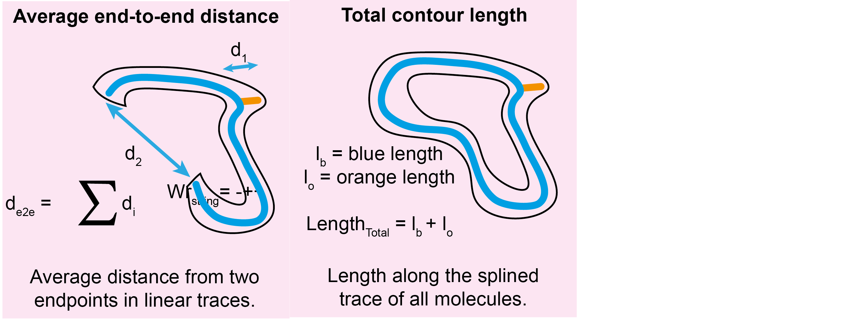 Splined tracing molecule metrics visualisation