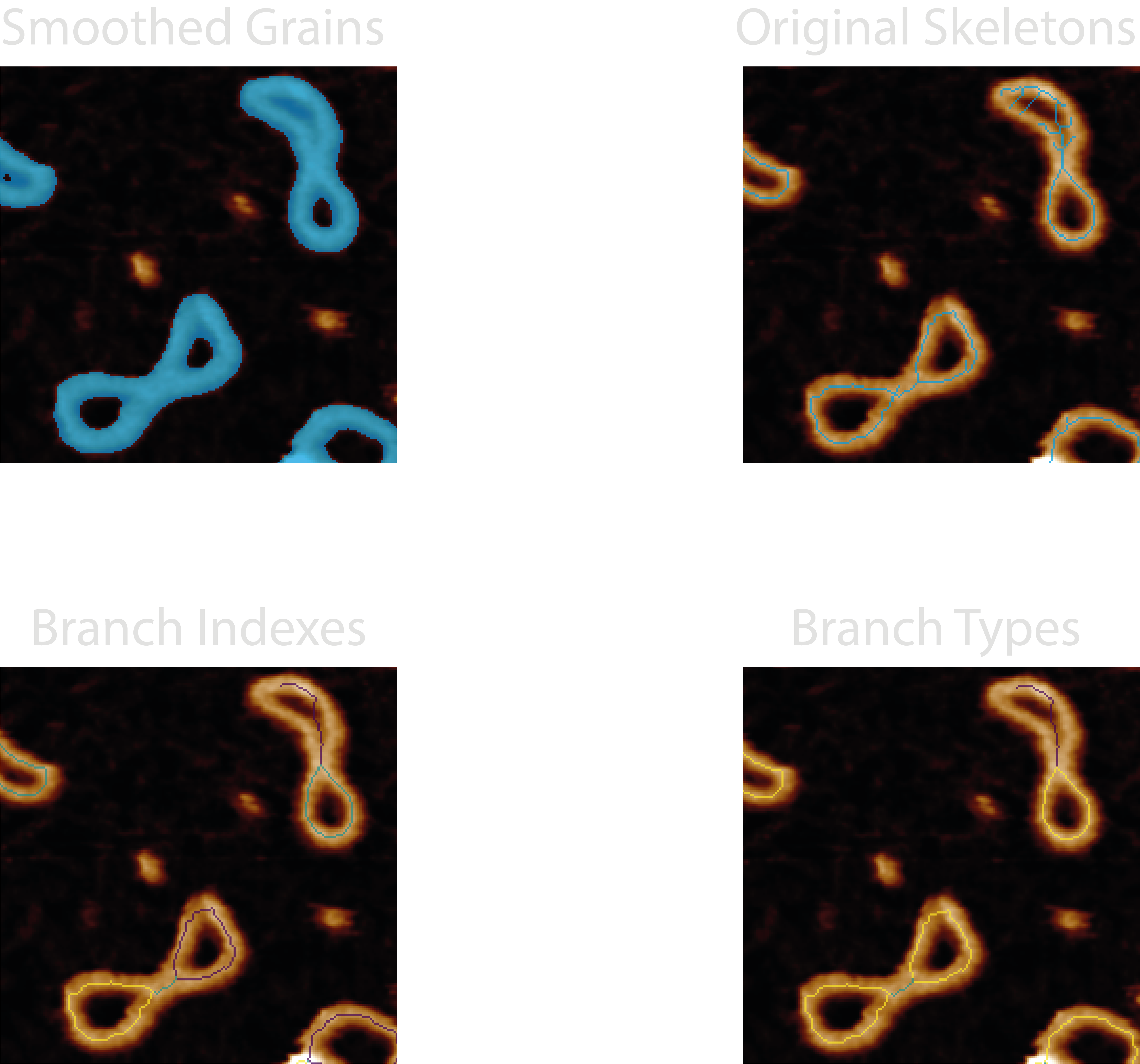 Examples of diagnostic images