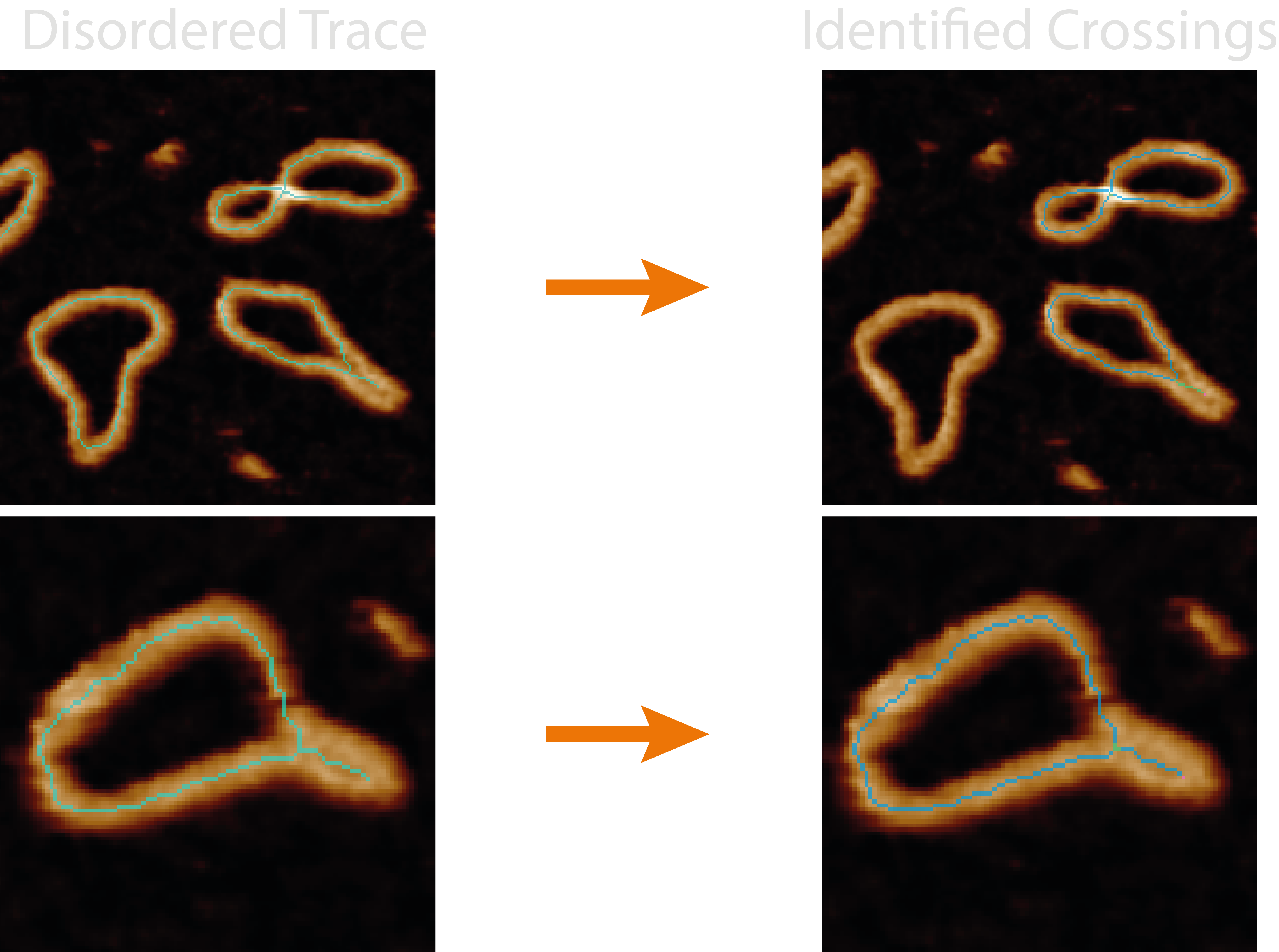 object skeleton with highlighted crossing points