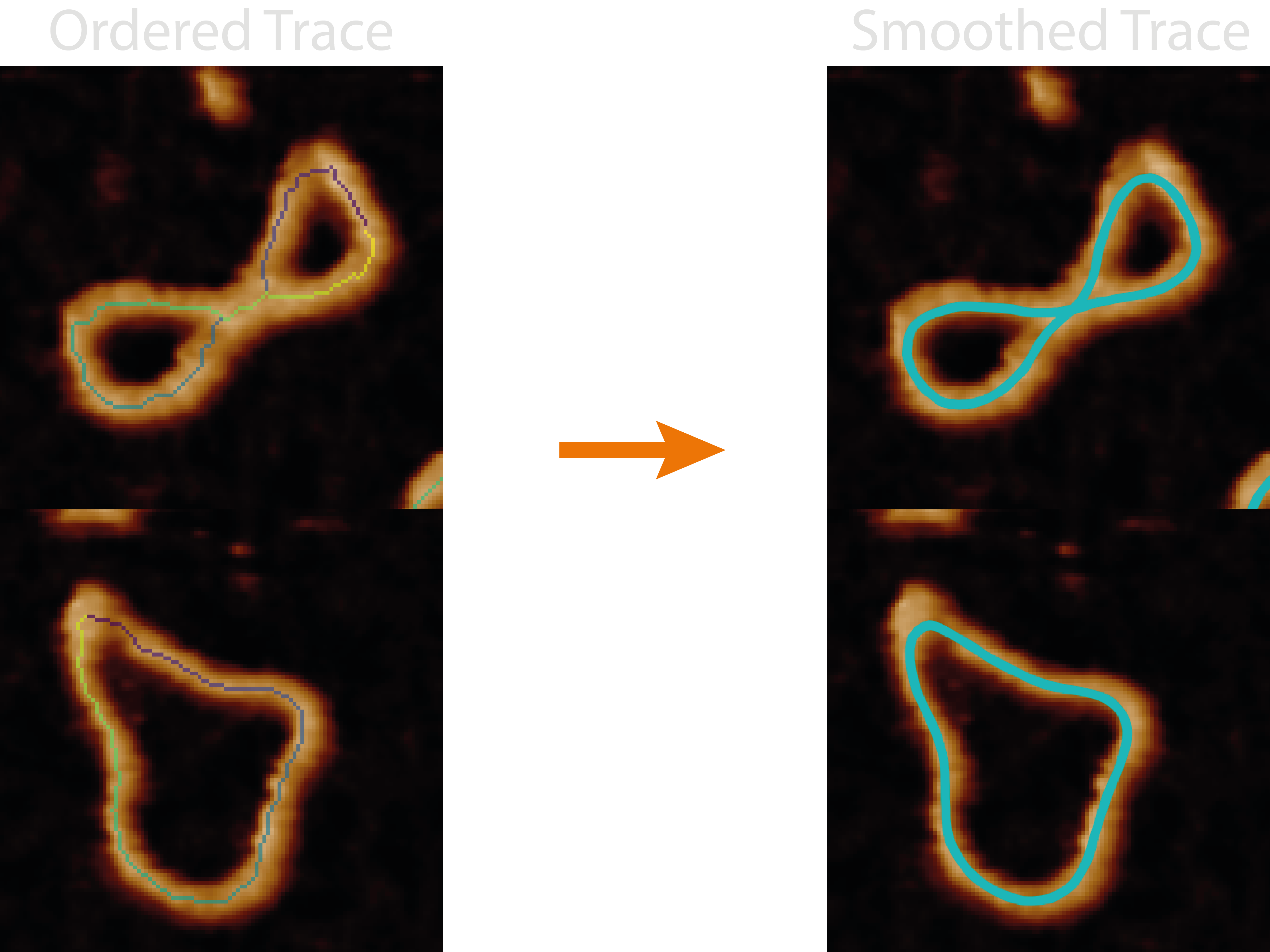 ordered trace to spline