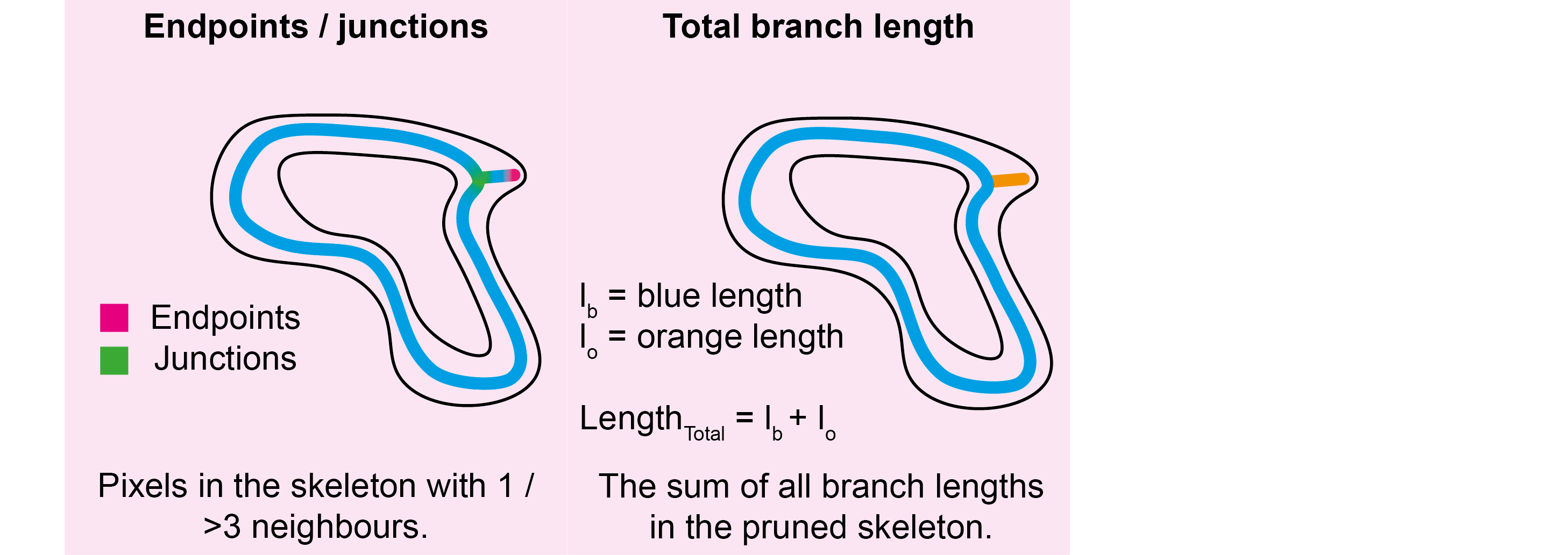 Disordered tracing grain metrics visualisation