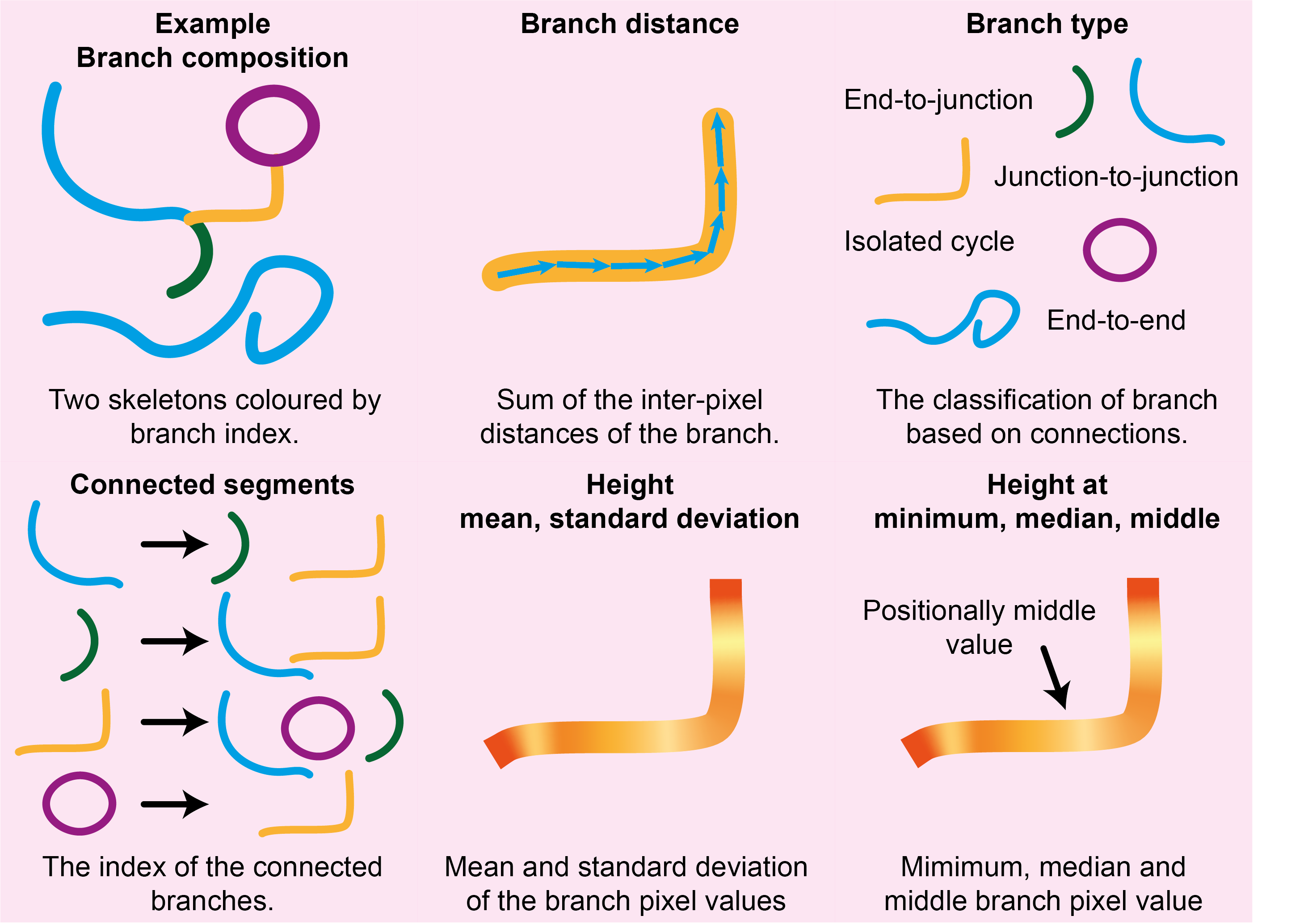 Disordered tracing branch metrics visualisation